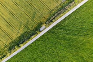 aerial view of a field with road