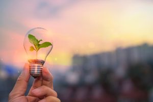 Ecology energy concept. Hand holding a light bulb with green growing plants that are environmentally friendly.